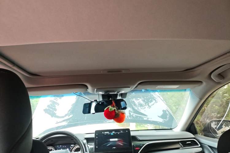 Used Toyota Camry 2021 2.0G Luxury Edition Headliner
