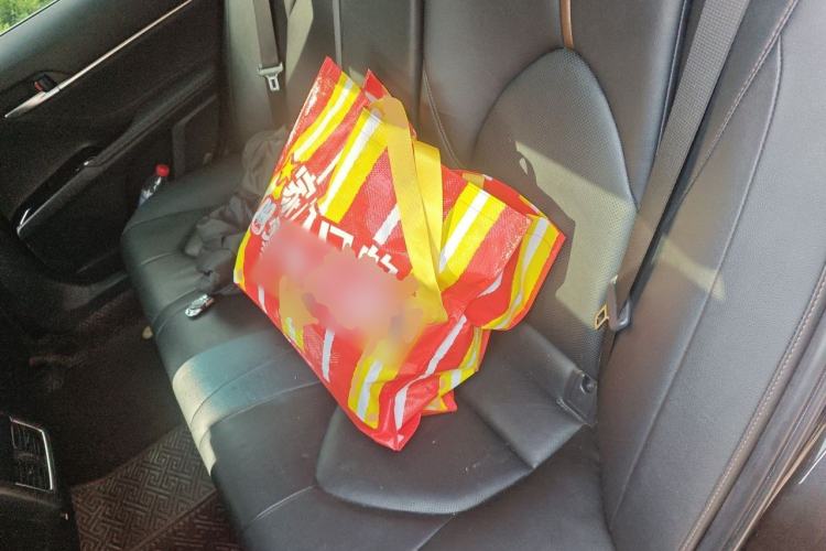 Used Toyota Camry 2021 Dual-Motor 2.5 HGVP Leading Edition Left Rear Seat