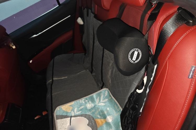 Used Toyota Camry 2021 2.5S Fēngshàng Edition Left Rear Seat