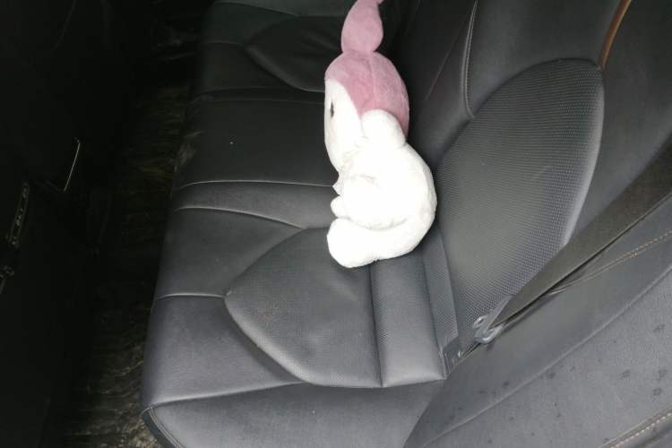 Used Toyota Camry 2021 Dual-Motor 2.5HG Luxury Edition Left Rear Seat