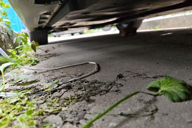 Used Toyota Camry 2021 2.0S FENGSHANG Edition Chassis Rear Left