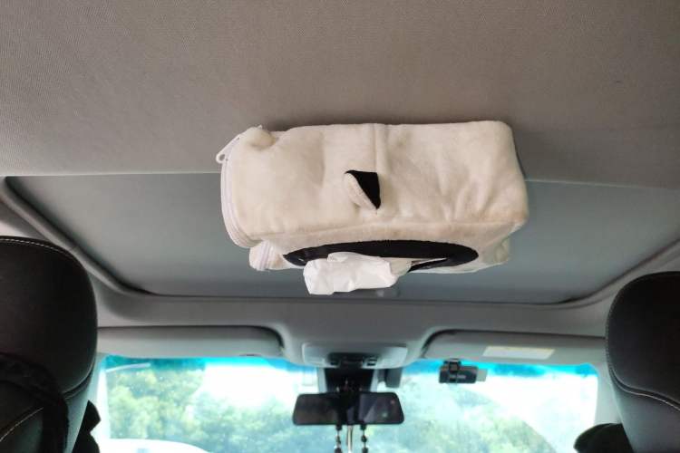 Used Toyota Camry 2021 2.5S Fēngshàng Edition Headliner