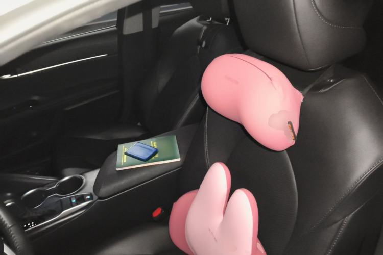 Used Toyota Camry 2021 2.0G Luxury Edition Left Front Seat