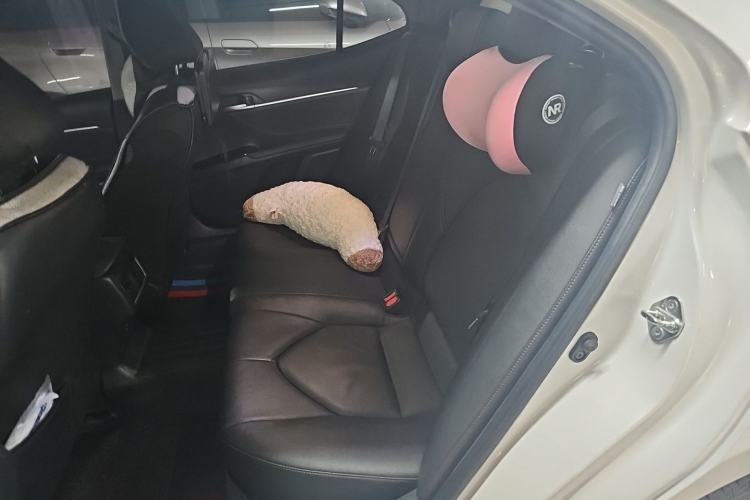 Used Toyota Camry 2021 2.5G Luxury Edition Left Rear Seat