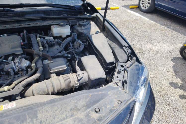 Used Toyota Camry 2023 Dual-Motor 2.5 HGVP Leading Edition Engine Bay Left