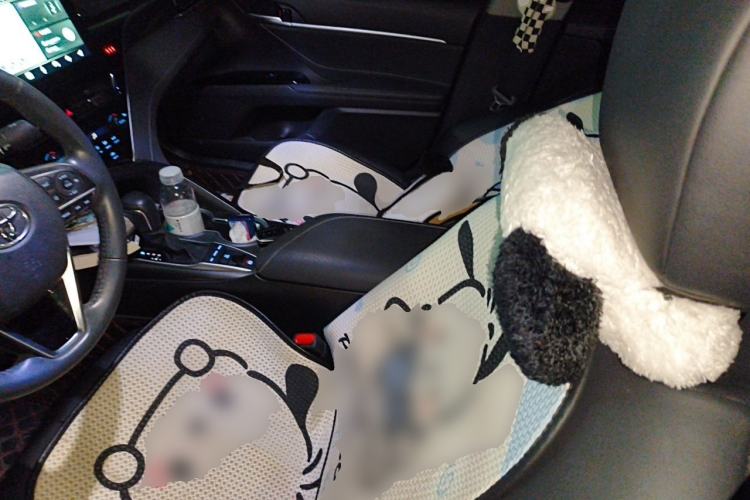 Used Toyota Camry 2023 2.0S FENGSHANG Edition Left Front Seat