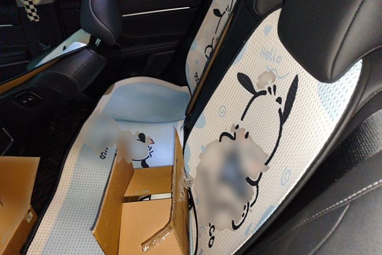 Used Toyota Camry 2023 2.0S FENGSHANG Edition Left Rear Seat