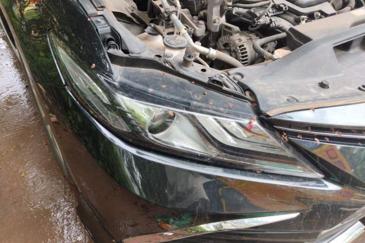 Used Toyota Camry 2023 2.0G Luxury Edition Right Front Headlight