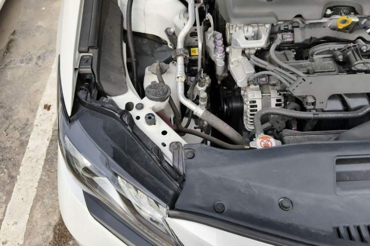 Used Toyota Camry 2023 2.5S Knight Edition Engine Bay Right