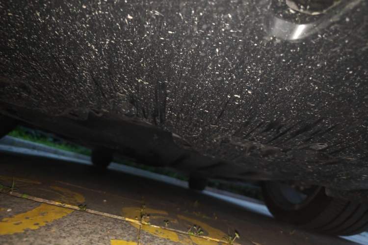 Used Toyota Camry 2025 Dual-Motor 2.0 HXS Glory Edition Chassis Front
