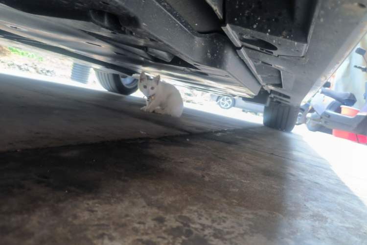 Used Toyota Camry 2026 Model Dual-Engine 2.0HSE Sport Lite Edition Chassis Front Left