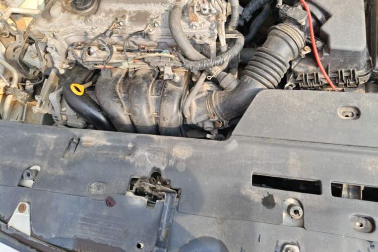 Used Toyota Corolla 2008 1.8L Automatic GL-i Sunroof Special Edition Engine Bay