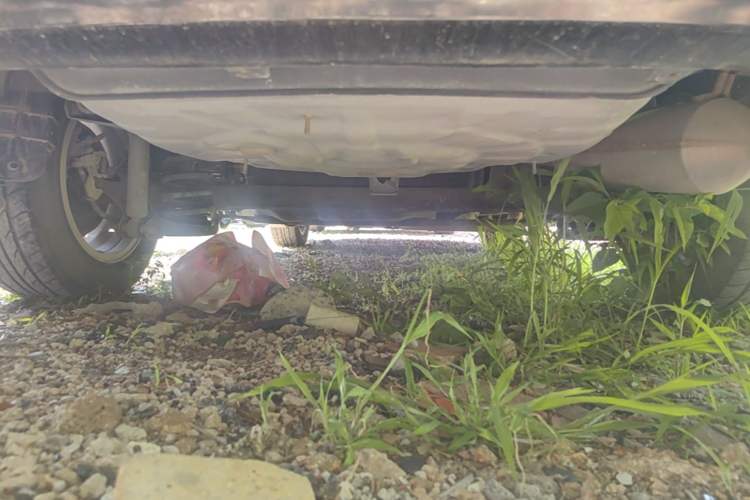 Used Toyota Corolla 2011 1.6L Manual GL Sunroof Edition Chassis Rear