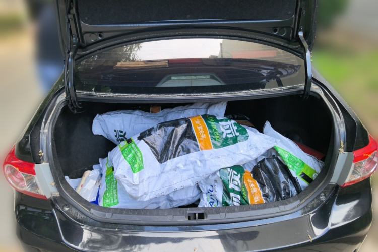 Used Toyota Corolla 2011 1.6L Automatic GL Trunk