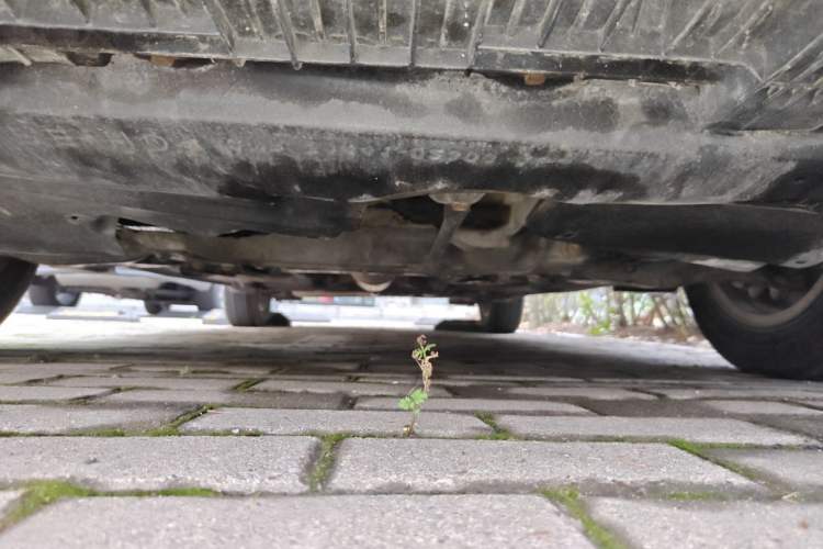 Used Toyota Corolla 2011 1.6L Manual GL Chassis Front
