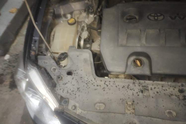 Used Toyota Corolla 2011 1.6L Automatic GL Engine Bay Right