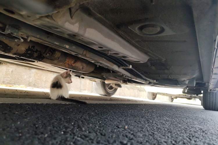 Used Toyota Corolla 2011 1.6L Automatic GL Chassis Front Left