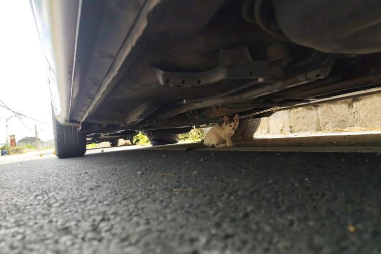 Used Toyota Corolla 2011 1.6L Automatic GL Chassis Rear Left