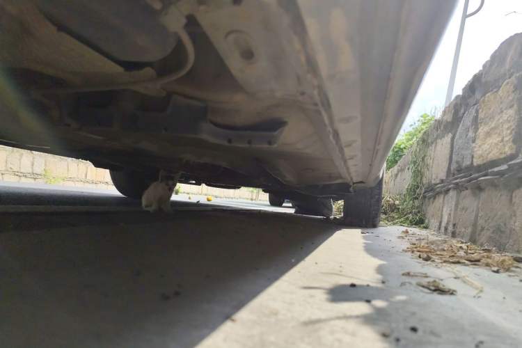 Used Toyota Corolla 2011 1.6L Automatic GL Chassis Rear Right