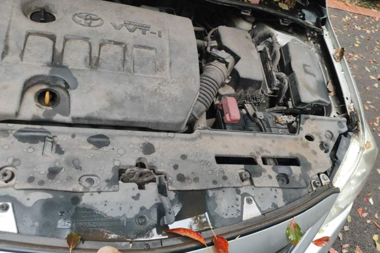 Used Toyota Corolla 2011 Commemorative Edition 1.6L Manual GL Engine Bay Left