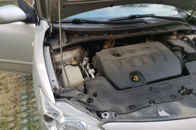 Used Toyota Corolla 2011 1.6L Automatic GL Engine Bay Right