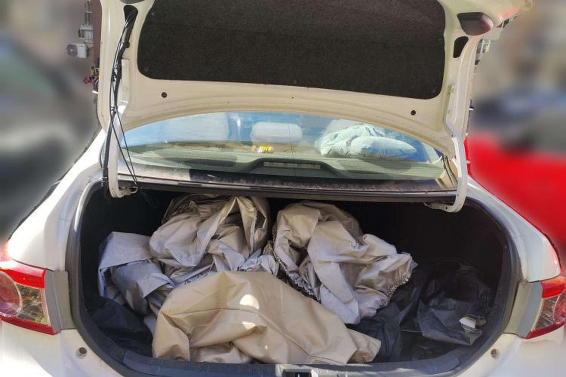 Used Toyota Corolla 2011 1.6L Automatic GL Trunk