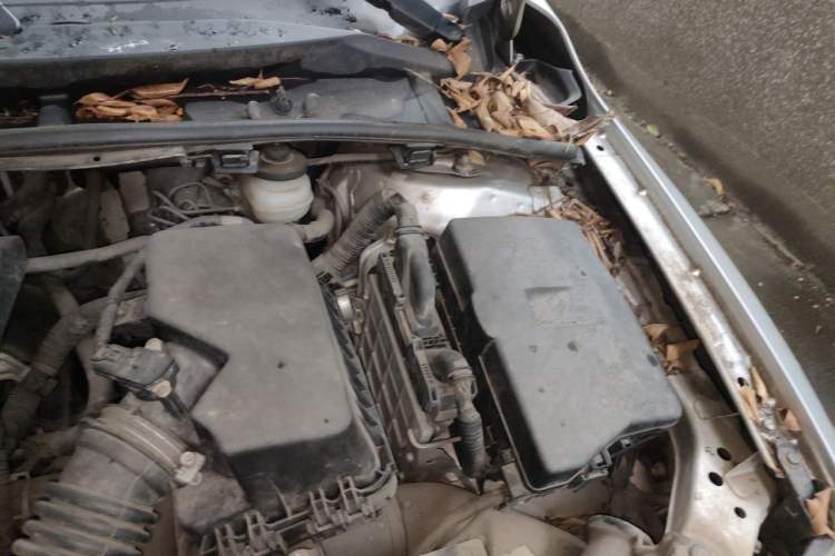 Used Toyota Corolla 2012 Luxurious Edition 1.6L Manual GL Engine Bay Left