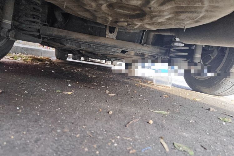 Used Toyota Corolla 2013 Special Edition 1.6L Automatic GL Cool Model Chassis Rear