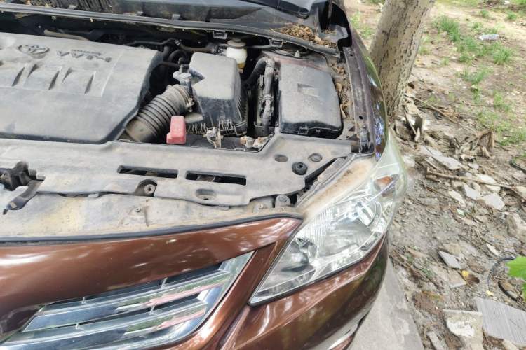 Used Toyota Corolla 2013 Special Edition 1.6L Automatic GL Cool Model Engine Bay Left
