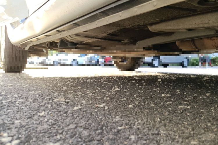 Used Toyota Corolla 2013 Special Edition 1.6L Automatic Cool GL Model Chassis Front Right