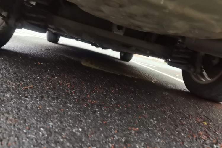 Used Toyota Corolla 2013 Special Edition 1.6L Automatic Cool GL Model Chassis Rear