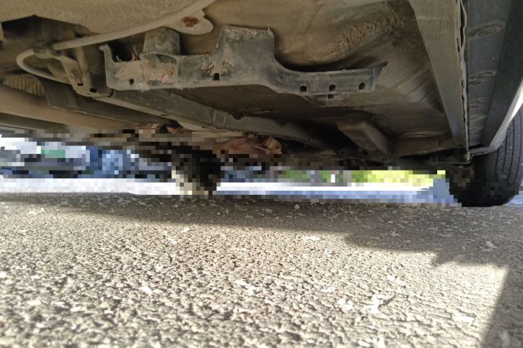 Used Toyota Corolla 2013 Special Edition 1.6L Automatic Cool GL Model Chassis Rear Right