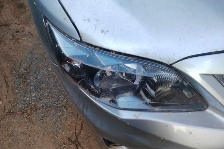 Used Toyota Corolla 2013 Special Edition 1.6L Automatic GL Cool Model Right Front Headlight