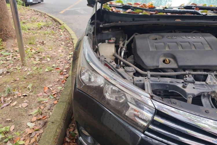 Used Toyota Corolla 2014 1.6L CVT GL Engine Bay Right