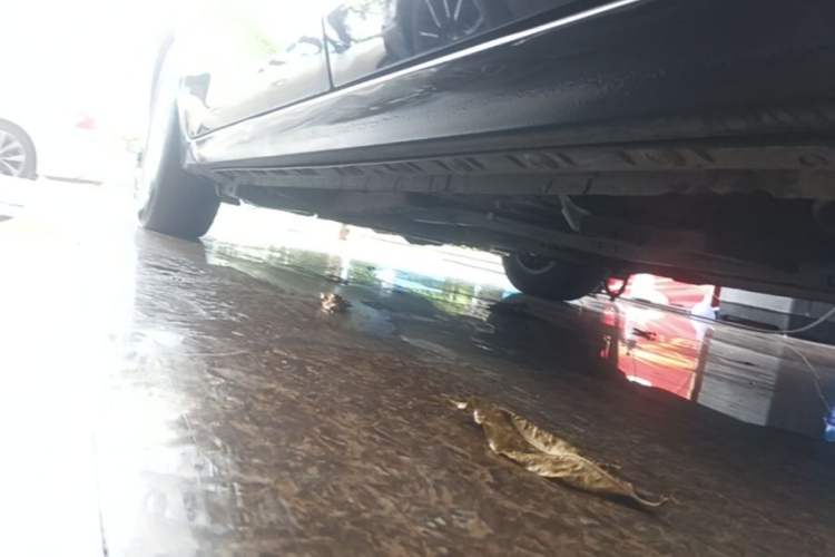 Used Toyota Corolla 2014 1.6L CVT GL Left Side Sill