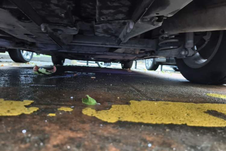 Used Toyota Corolla 2014 1.6L CVT GL Chassis Rear
