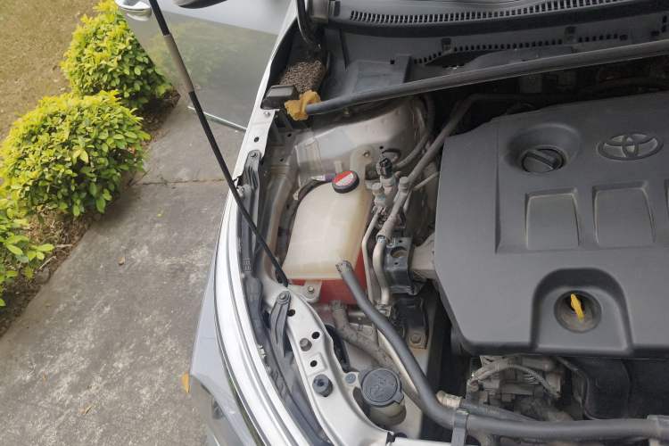 Used Toyota Corolla 2014 1.6L CVT GL-i Engine Bay Right