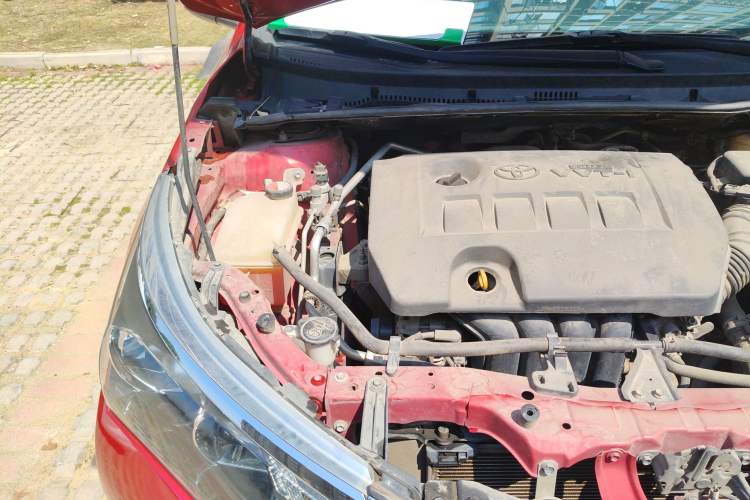 Used Toyota Corolla 2014 1.6L CVT GL-i Leather Edition Engine Bay Right