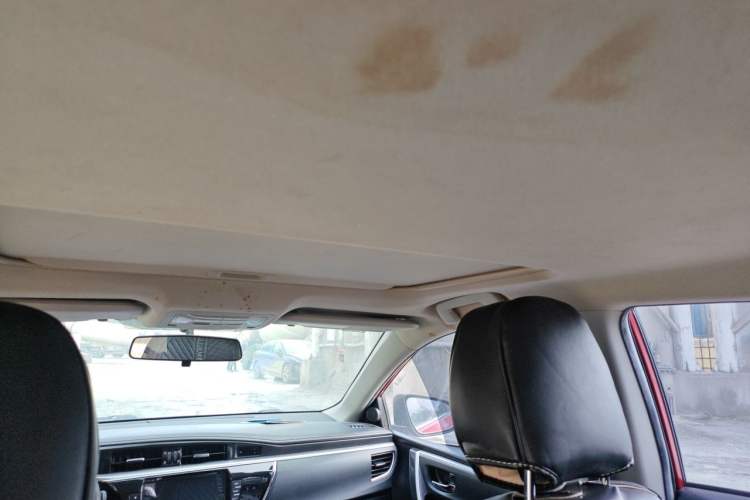 Used Toyota Corolla 2014 1.6L CVT GL-i Headliner