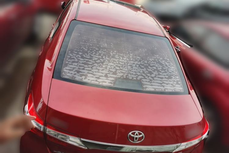 Used Toyota Corolla 2014 1.6L CVT GL-i Leather Edition Rear