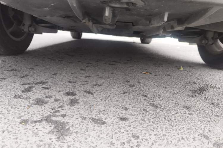 Used Toyota Corolla 2014 1.6L CVT GL-i Chassis Rear