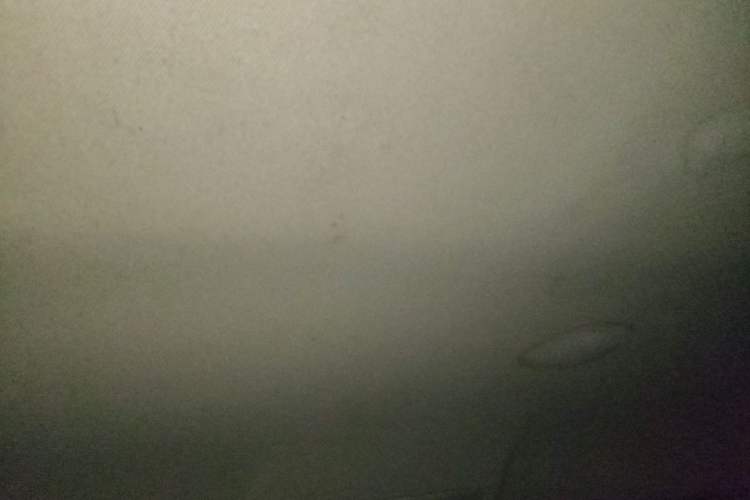 Used Toyota Corolla 2014 1.6L CVT GL Headliner
