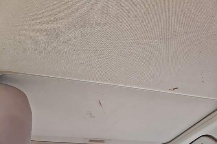 Used Toyota Corolla 2014 1.6L CVT GL-i Headliner