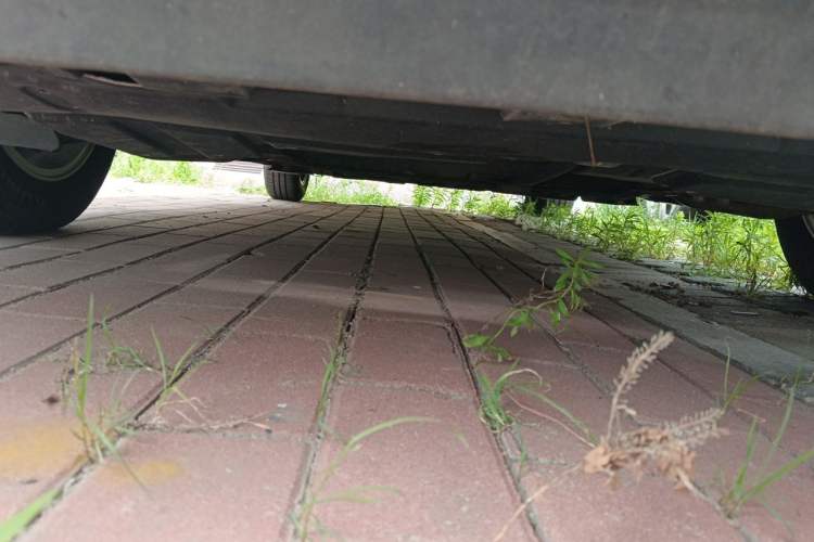 Used Toyota Corolla 2014 1.6L CVT GL Chassis Front