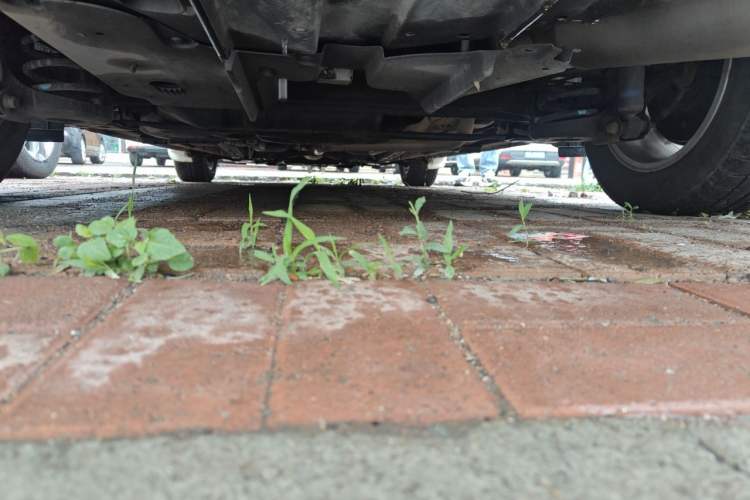 Used Toyota Corolla 2014 1.6L CVT GL Chassis Rear