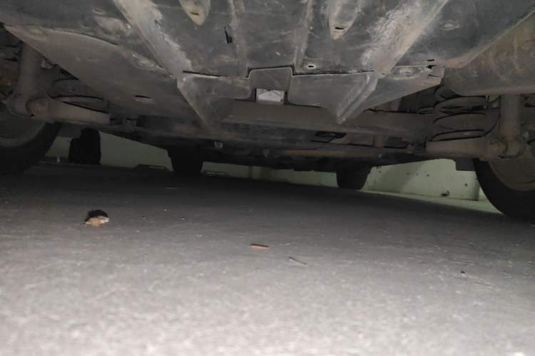 Used Toyota Corolla 2014 1.6L CVT GL-i Leather Edition Chassis Rear