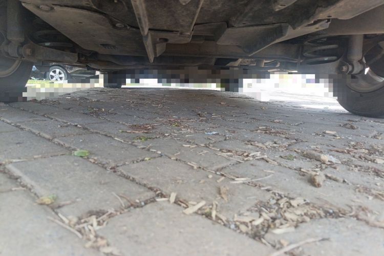 Used Toyota Corolla 2014 1.6L CVT GL Chassis Rear