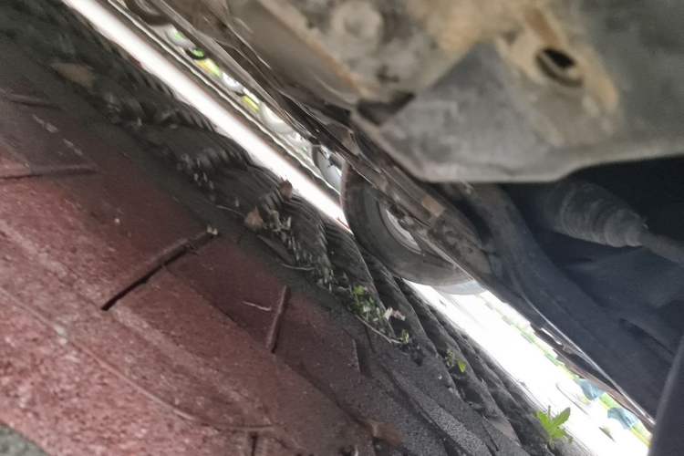 Used Toyota Corolla 2014 1.6L CVT GL-i Chassis Rear