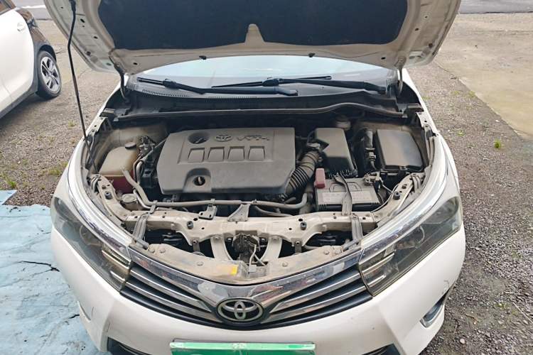 Used Toyota Corolla 2014 1.6L CVT GL-i Engine Bay