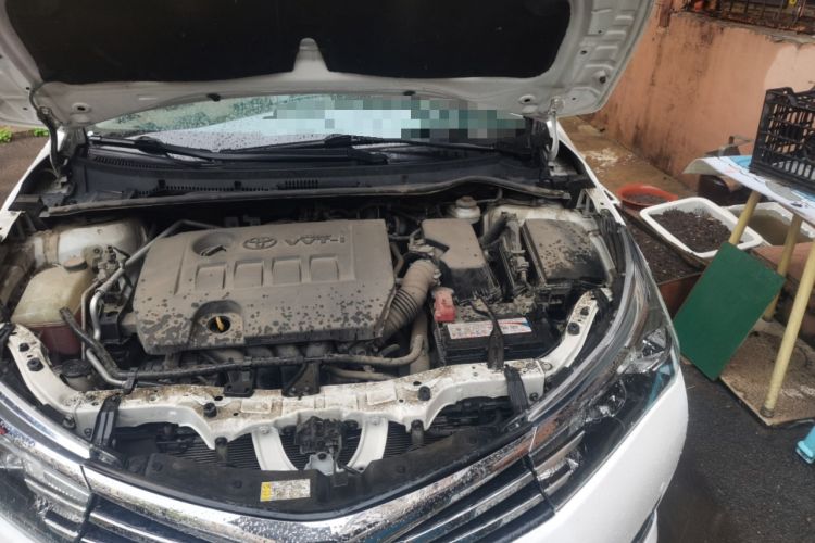 Used Toyota Corolla 2014 1.6L CVT GL-i Engine Bay Left